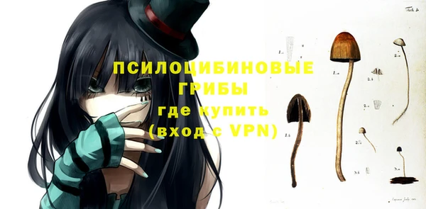 сатива Покров