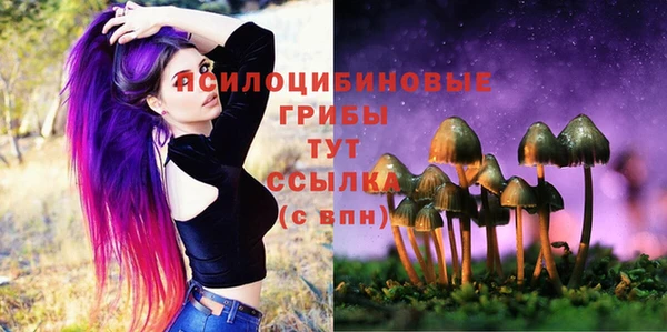 марки lsd Богданович