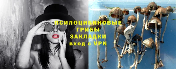 амфетамин Богородицк