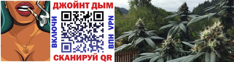 Каннабис план  Яровое 